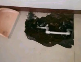 四会卫生间测漏水多少钱 四会卫生间测漏水多少钱